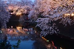 観桜の夕べ