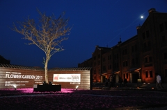 FLOWER GARDEN 2011