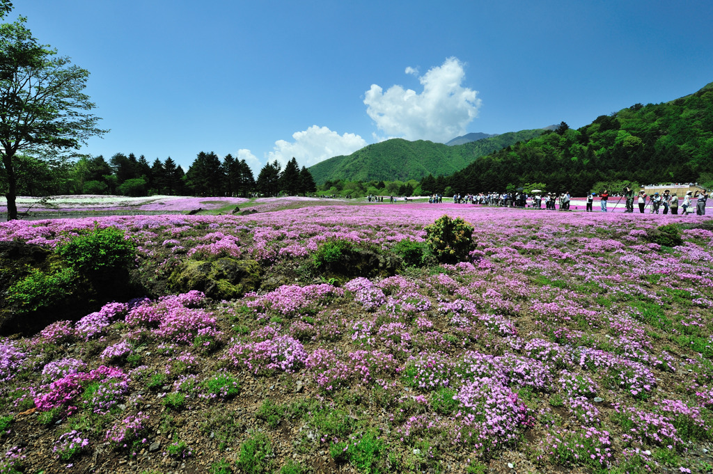 富士山への砲列