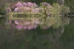 晩春の湖