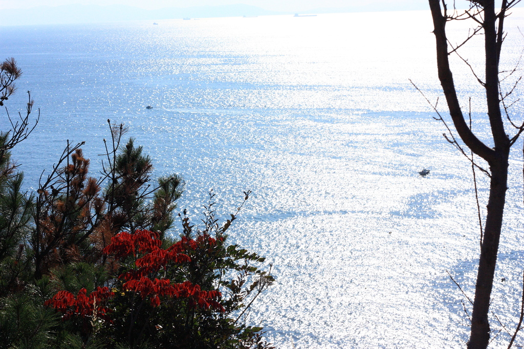 丘からの海