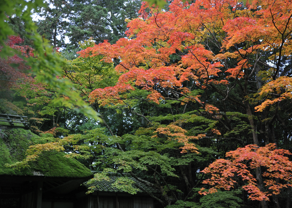 京都・法然院
