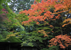 京都・法然院