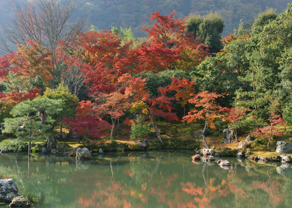 天龍寺庭園