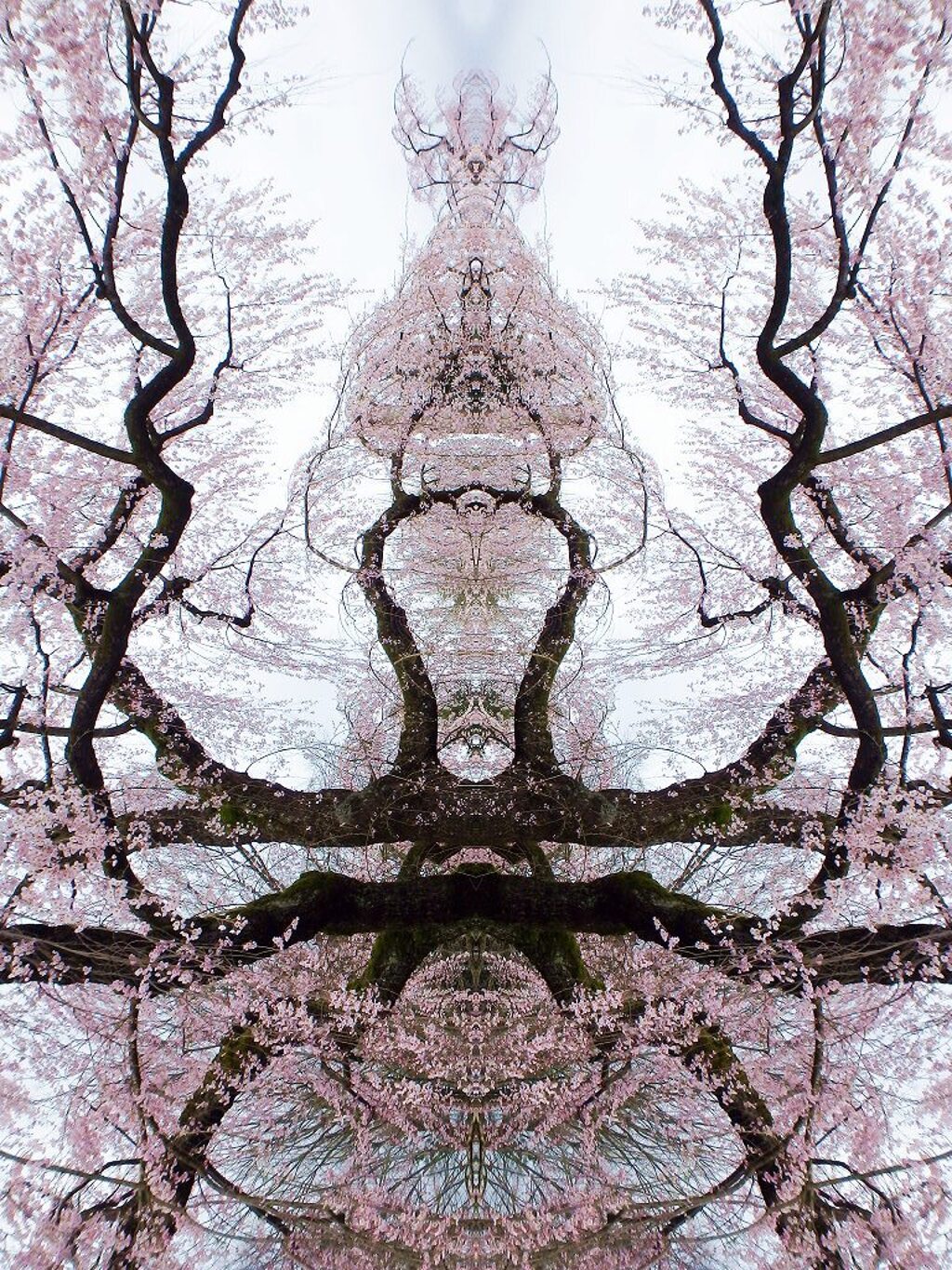 次元上昇