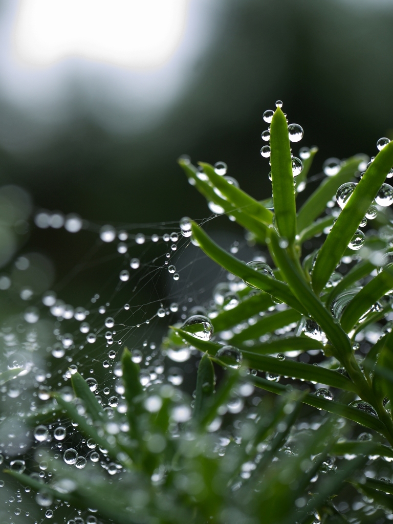 梅雨の晴れ間　　♯１