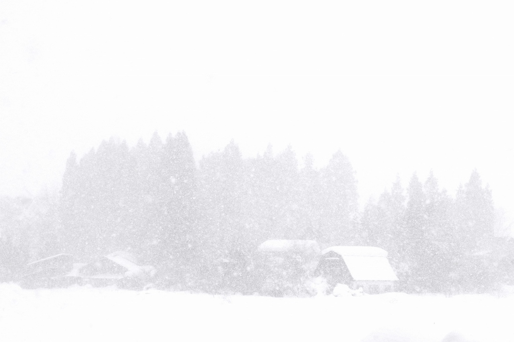 ホワイトアウトの日ー２