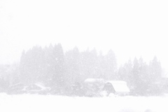 ホワイトアウトの日ー２