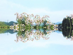 Heaven　その３