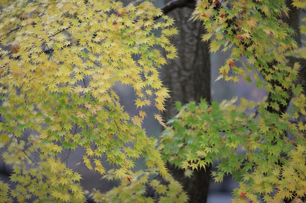 雨の日に  -3