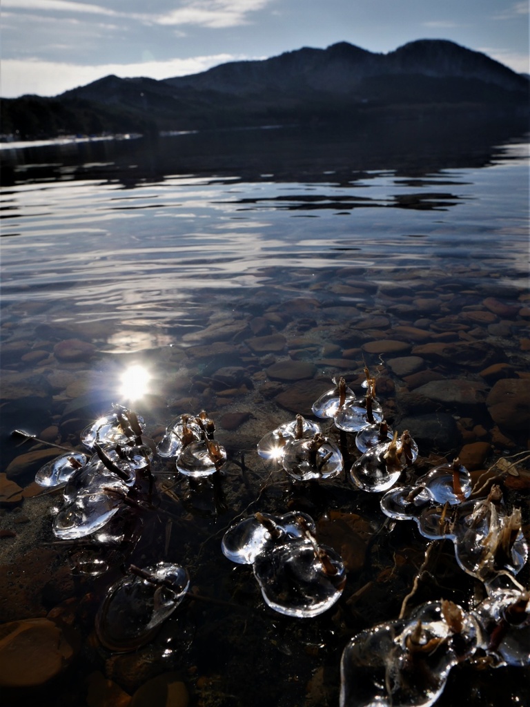 水辺の宝石