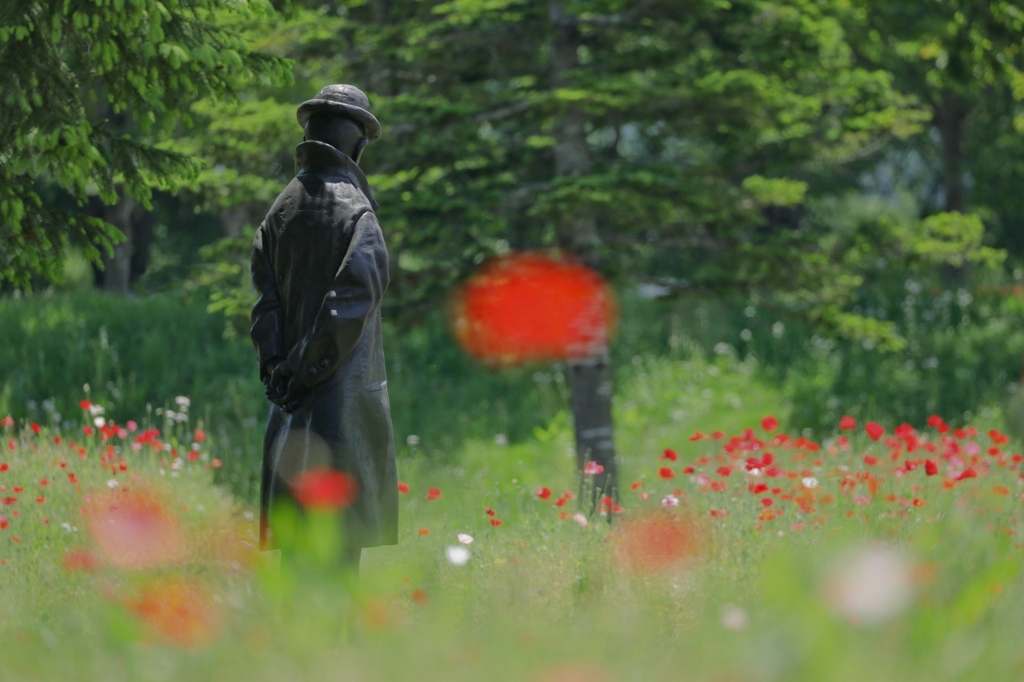 賢治の花壇