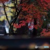 雨の武家屋敷通り　その20