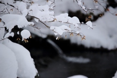 雪のヘリコプター