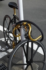 高そう