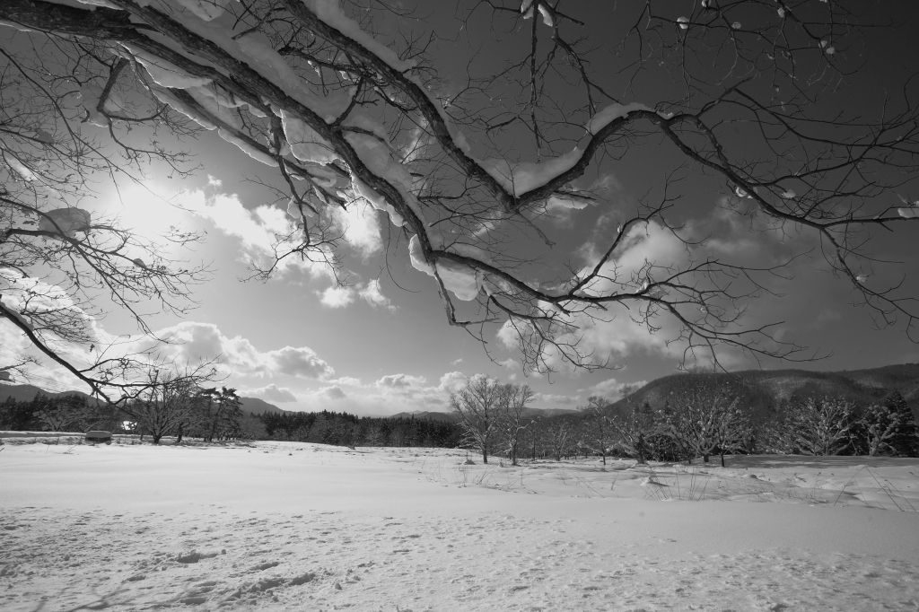 雪原の晴れ間