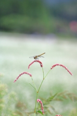 あゝ 幸せの