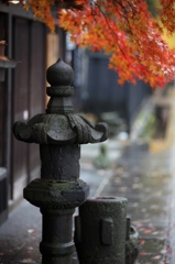 雨の武家屋敷通り 5