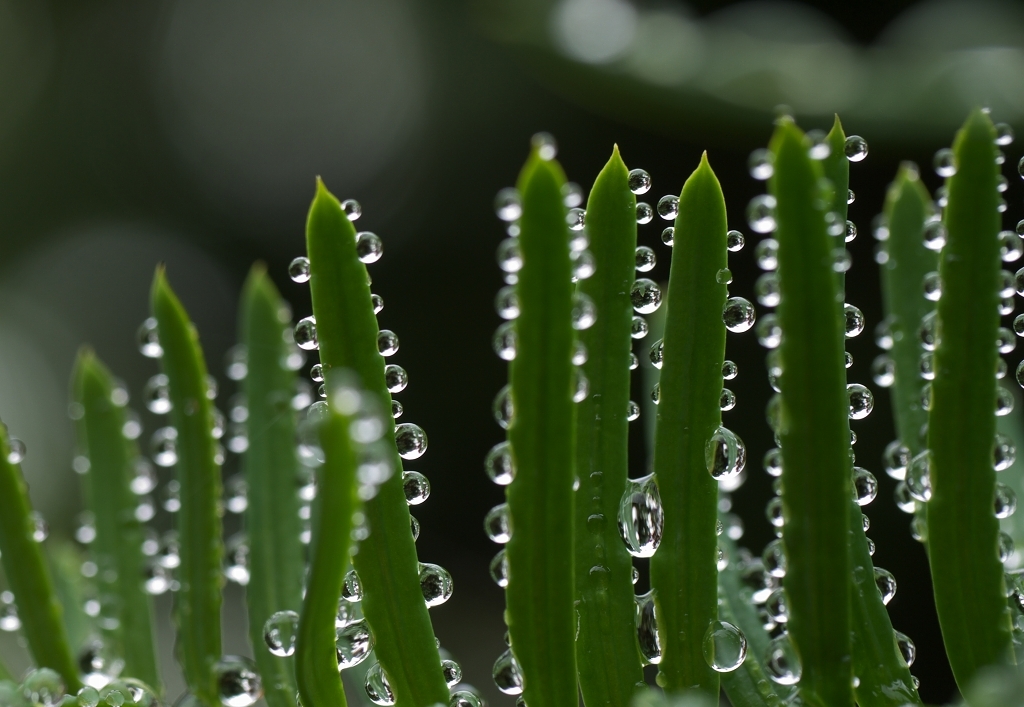 梅雨の晴れ間　 ♯2