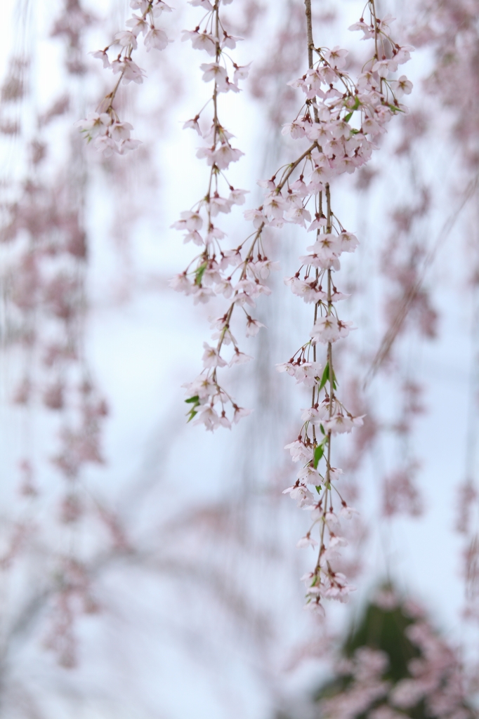 なんちゃって花簾