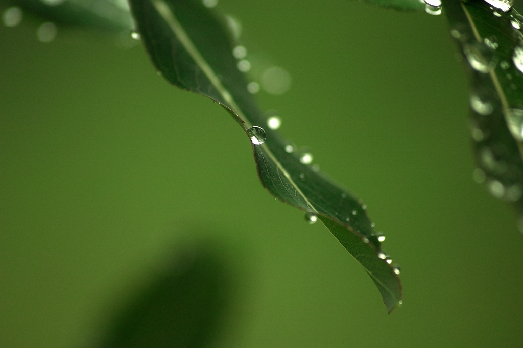 梅雨の日