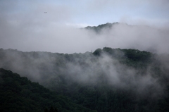 霞か雲か　２