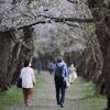 刹那に散りゆく