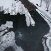 春は、どこまで？