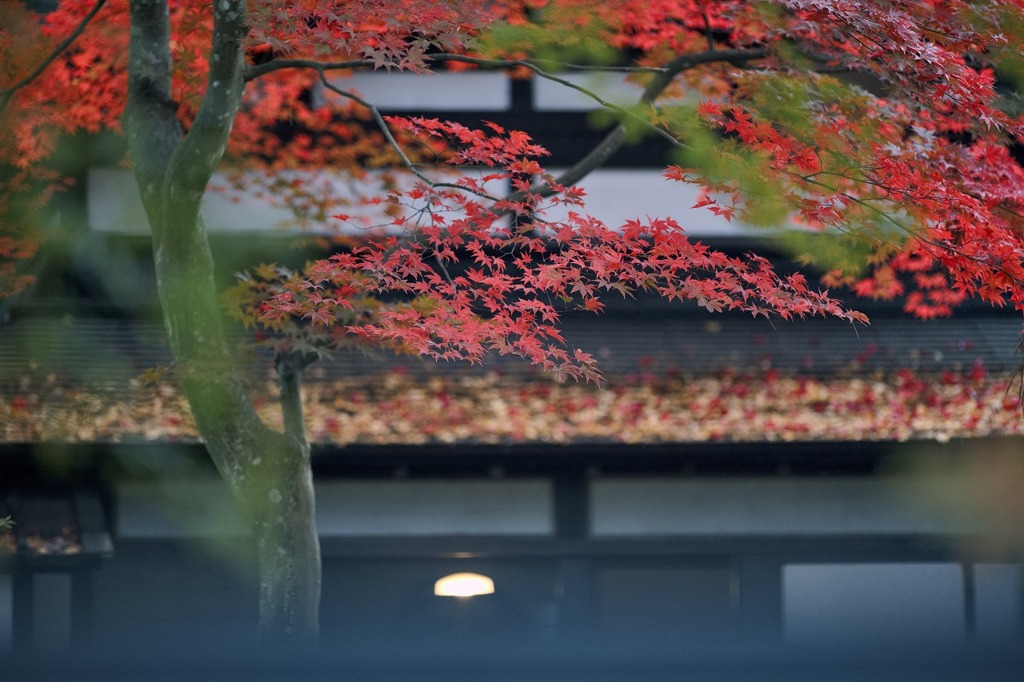 雨の日に  -4