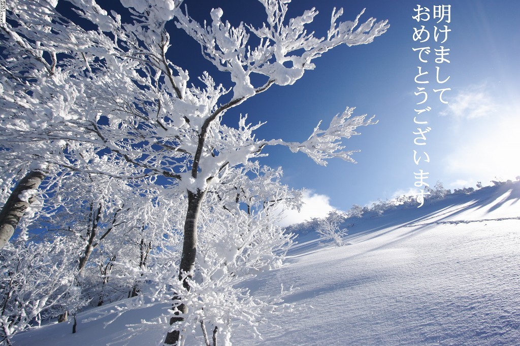 明けまして　おめでとうございます