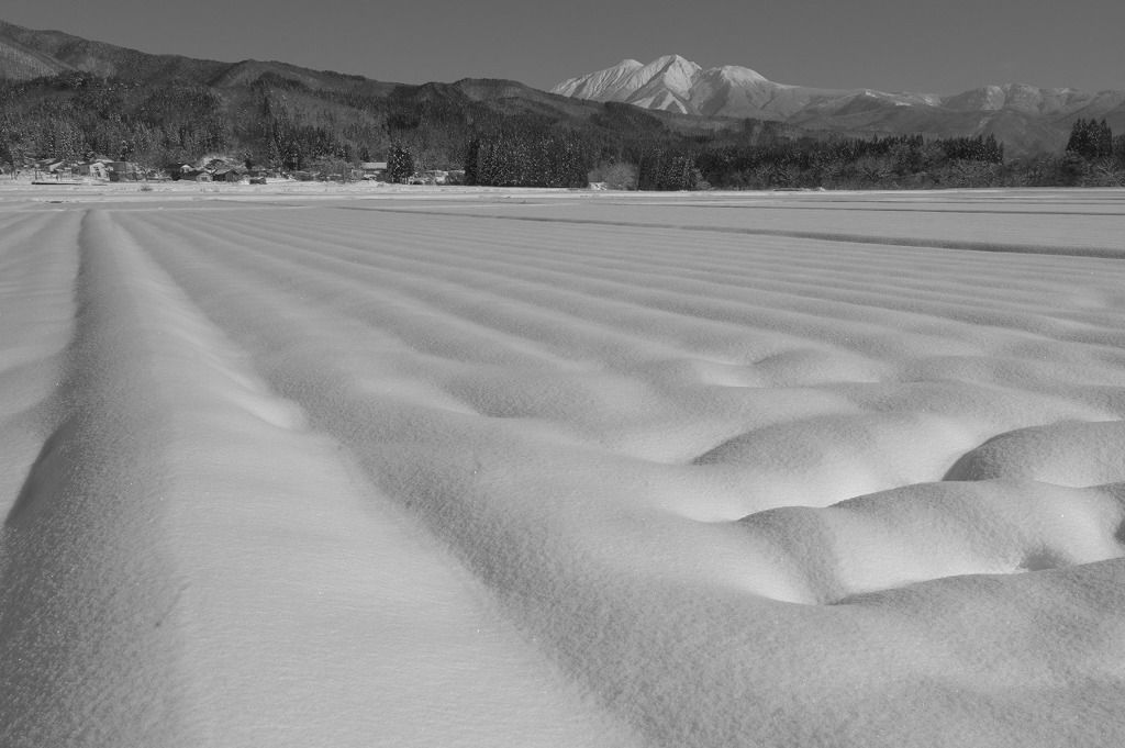 雪藪より