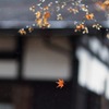 雨の武家屋敷通り　その 22