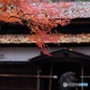  雨の武家屋敷通り　その４