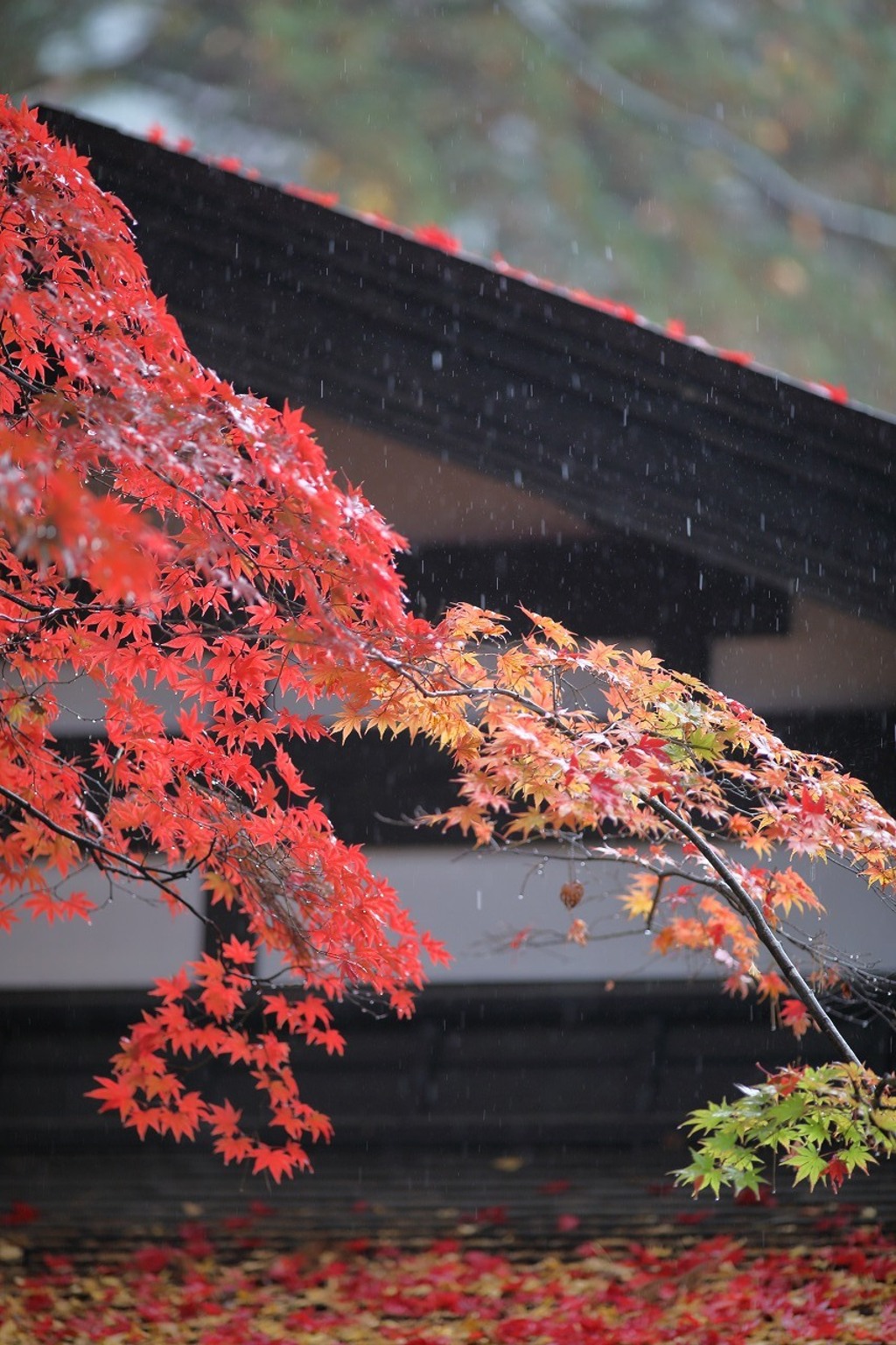 雨の日に　-２