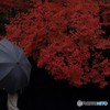 雨の日
