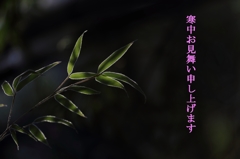寒中お見舞い申し上げます