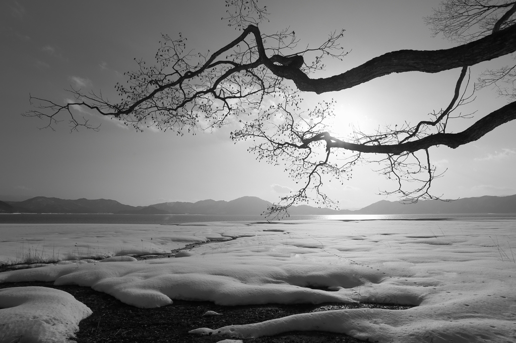 田沢の湖