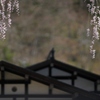 いつもの切り取り？
