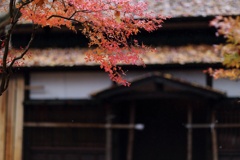 ５年前　雨の日　その５