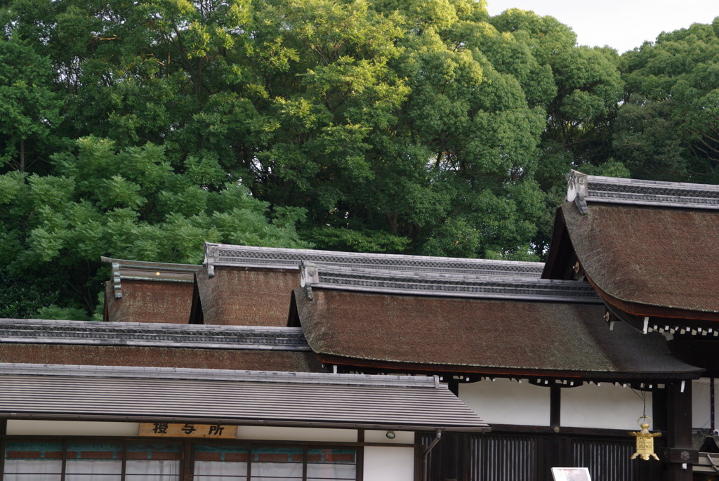 下鴨神社