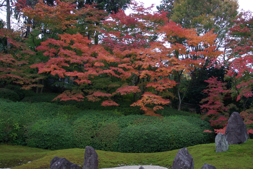 光明院