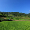 中山地区　棚田