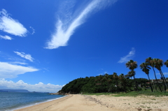 木香（きこ）の浜