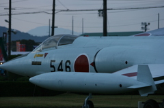 往年の翼