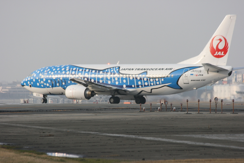 日本トランスオーシャン航空 (BOEING 737)