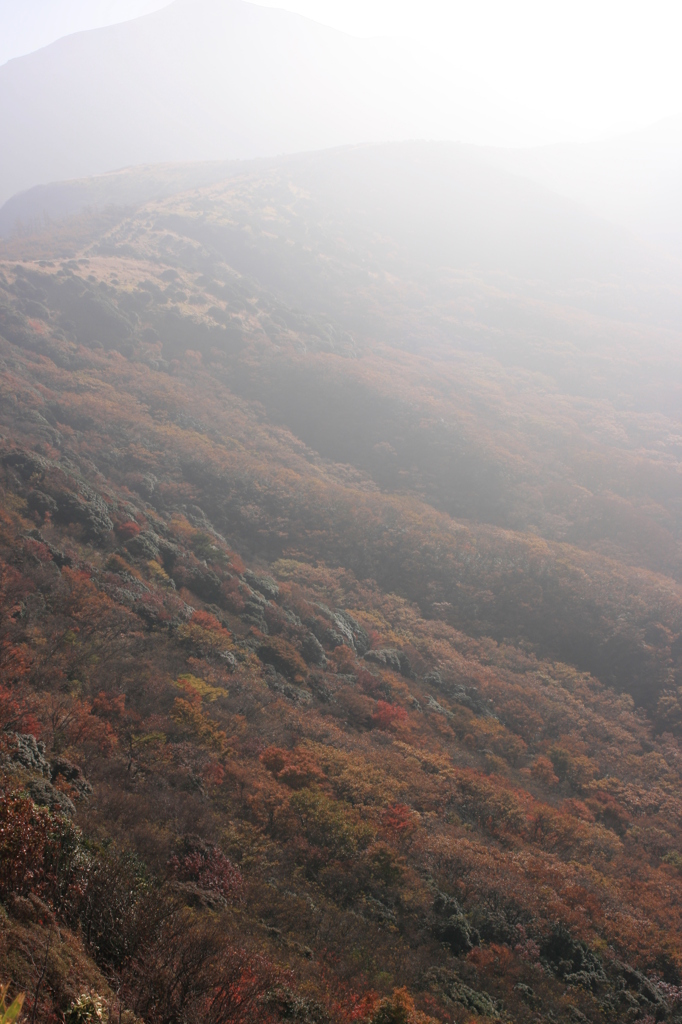 朝靄の久住山