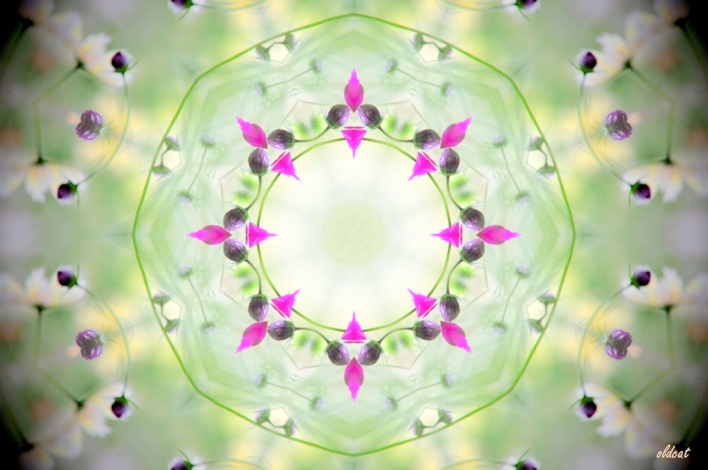 Flower dish３