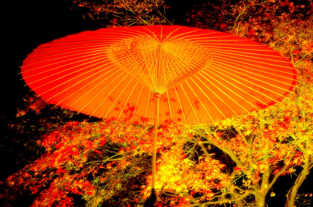 影紅葉３
