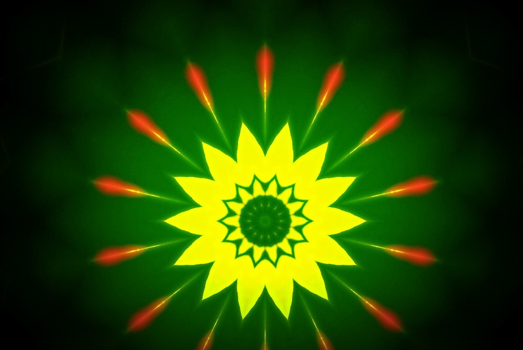花火花（Fireworks flower）１