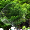 こわれて消えた